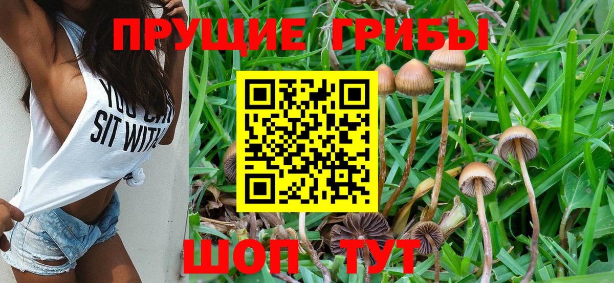 Псилоцибиновые грибы ЛСД  продажа наркотиков  Каспийск  Вход с VPN 
