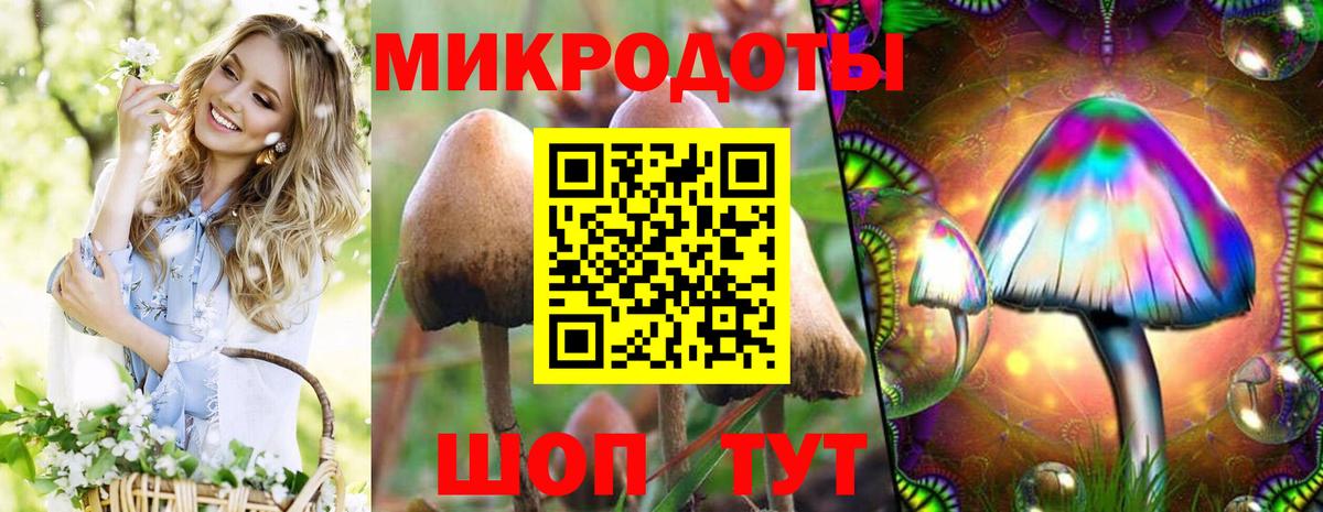 Псилоцибиновые грибы GOLDEN TEACHER Каспийск